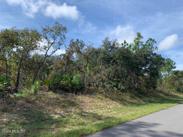1357 Riley Drive - Photo 1