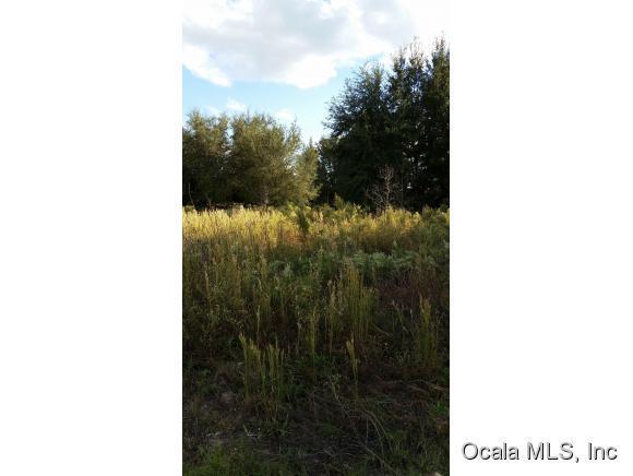 lot 8 Lot 8 102nd Street - Photo 1
