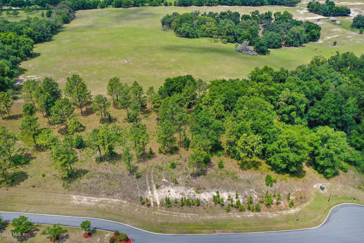 0 Grantham Court - Photo 1