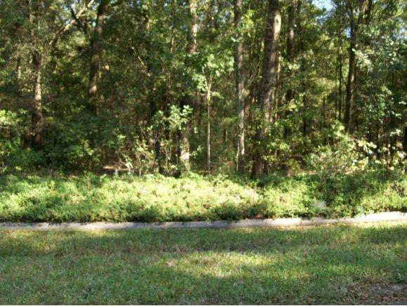 LOT 5 93rd Loop - Photo 1