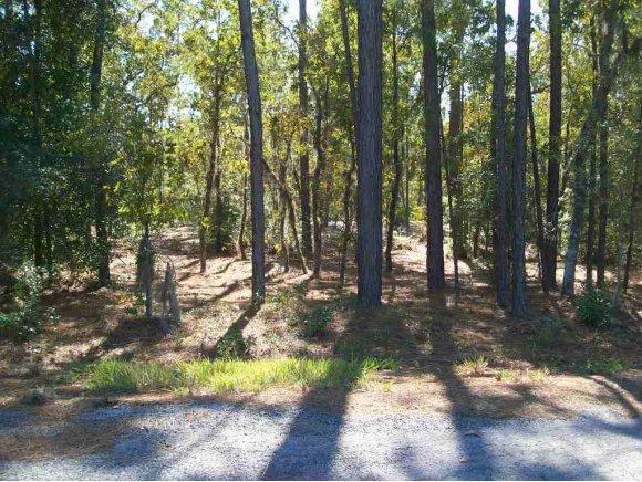 LOT 65 Lot 65 204 Circle - Photo 1