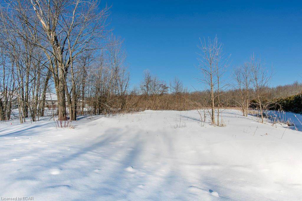 230 Bayshore Drive - Photo 1
