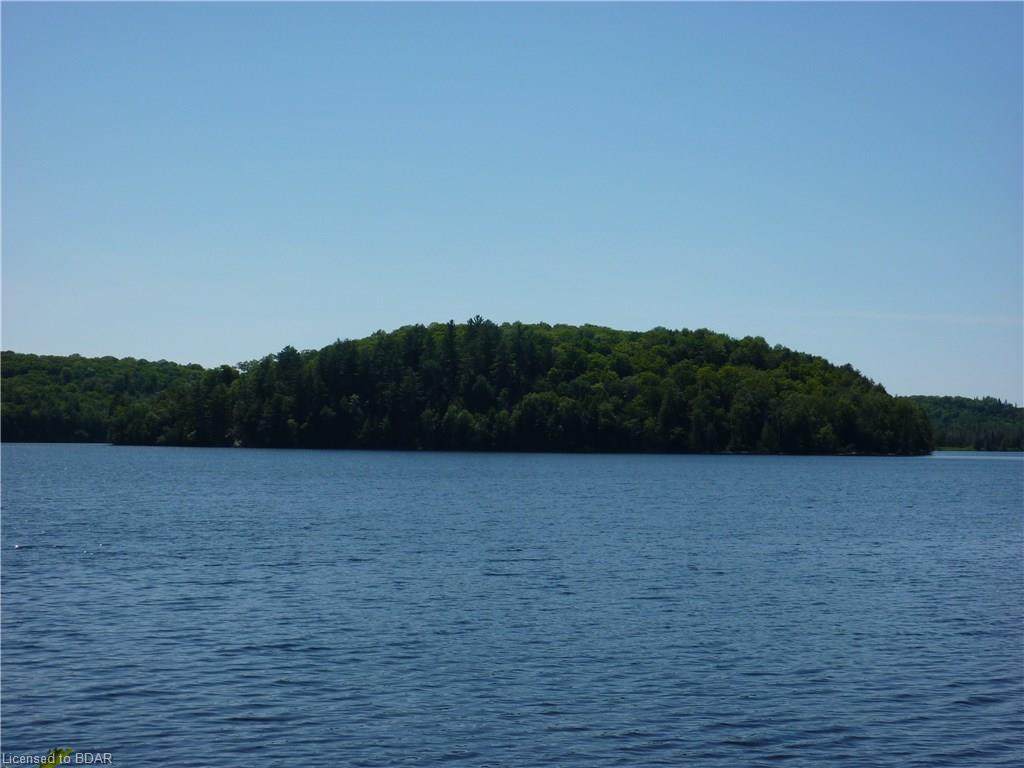 2422 Fern Glen Road - Photo 1