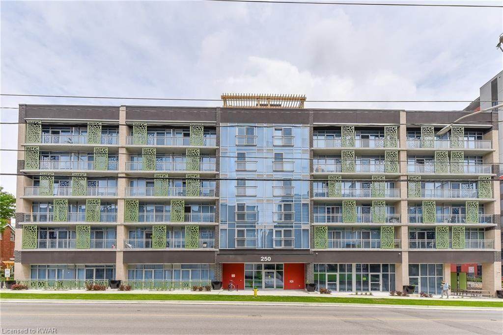 250 Albert Street - Photo 1
