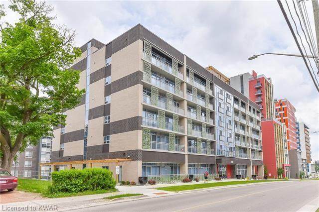 250 Albert Street - Photo 1