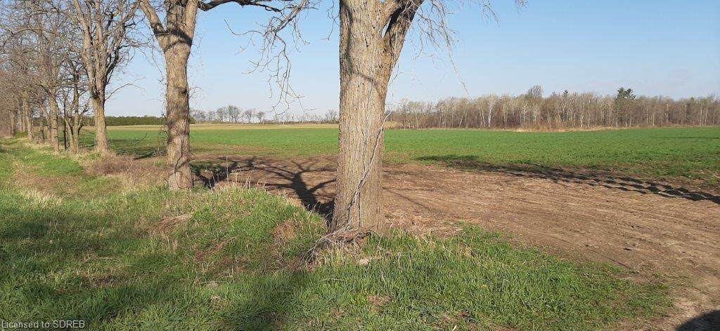 N/A Windham Road #6 - Photo 1