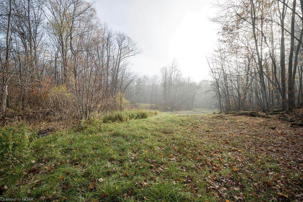 316 High Shore Road - Photo 1