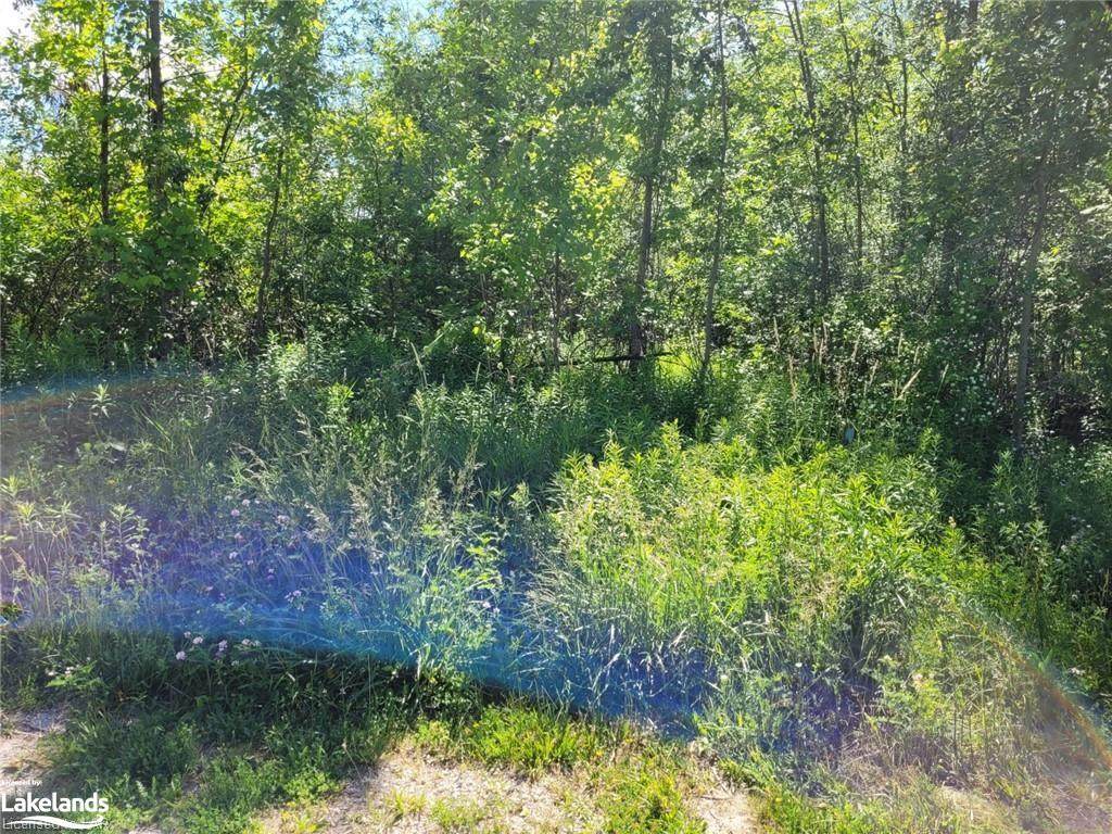11325 26 Highway - Photo 1