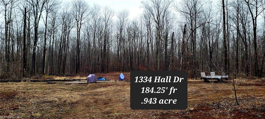 1334 Hall Drive - Photo 1