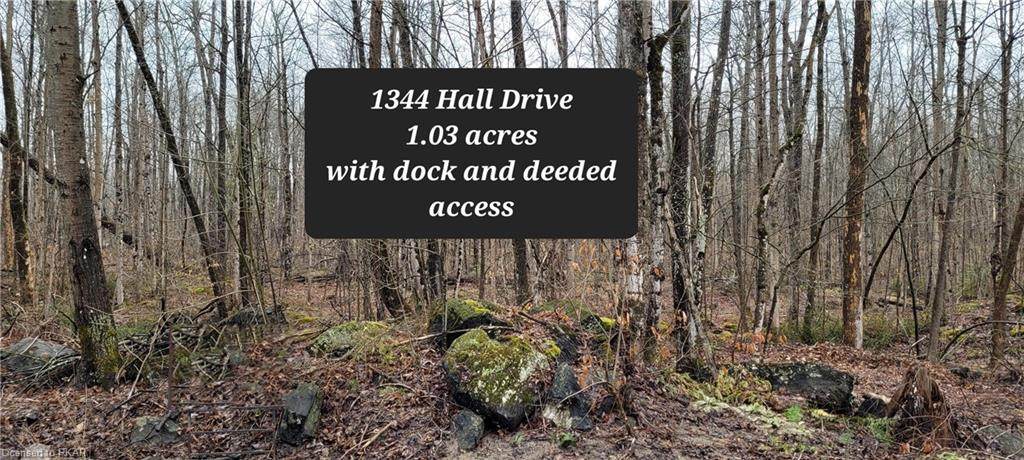 1344 Hall Drive - Photo 1