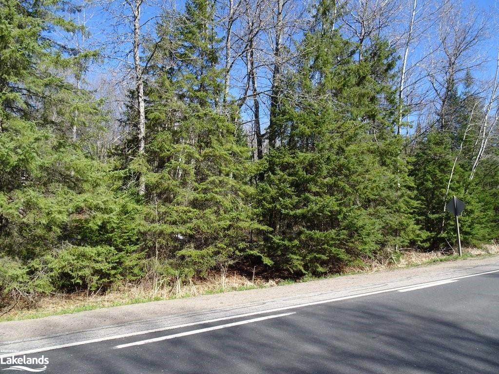 0 County Road 21 - Photo 1