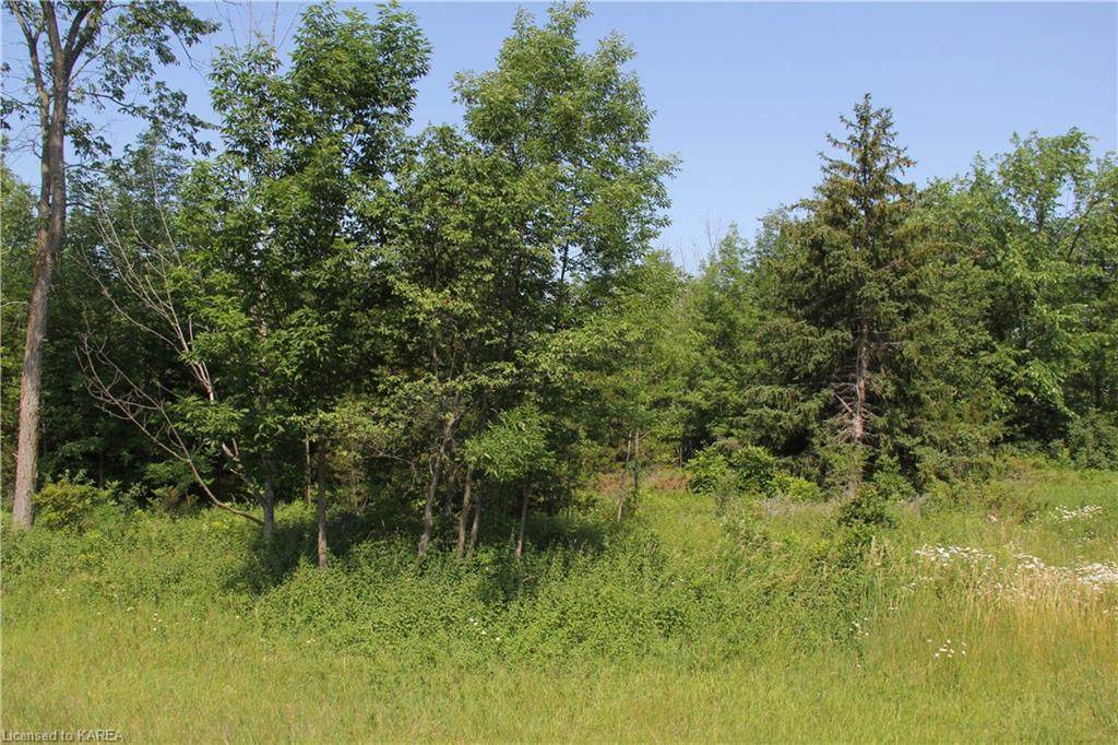 4075 County Road 1 - Photo 1