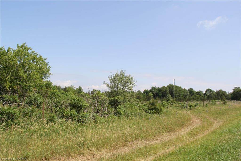 00 County Road 1 - Photo 1