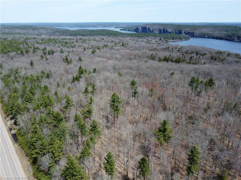 0 Highway 41 - Photo 1