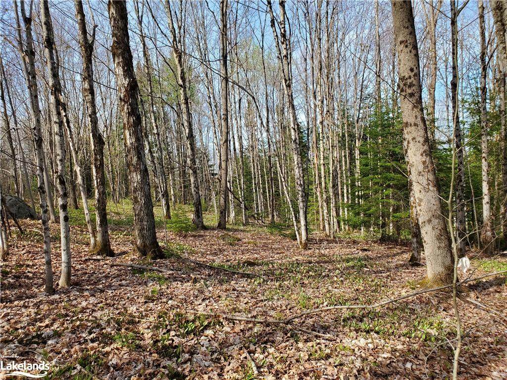 0 Bobcaygeon Road - Photo 1
