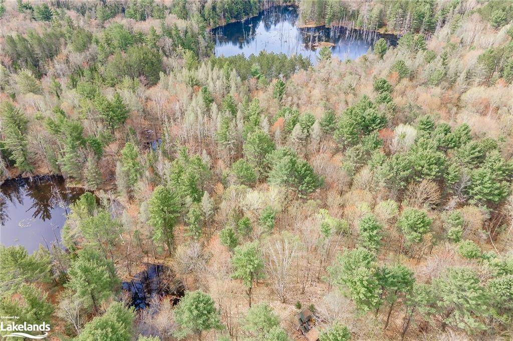 1369 Old Parry Sound Road - Photo 1