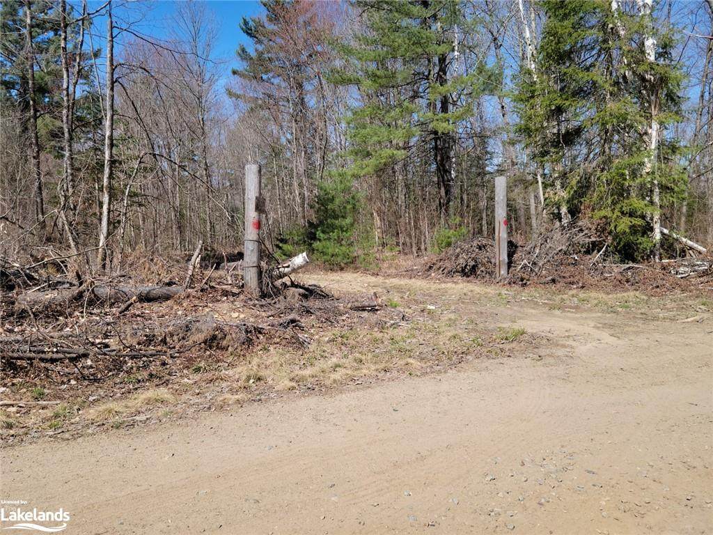 LT 32 North Portage Road - Photo 1