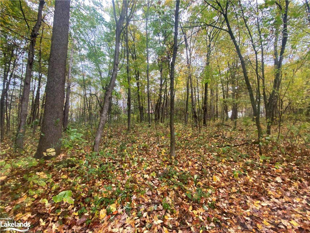 1715 Sugar Maple Drive - Photo 1