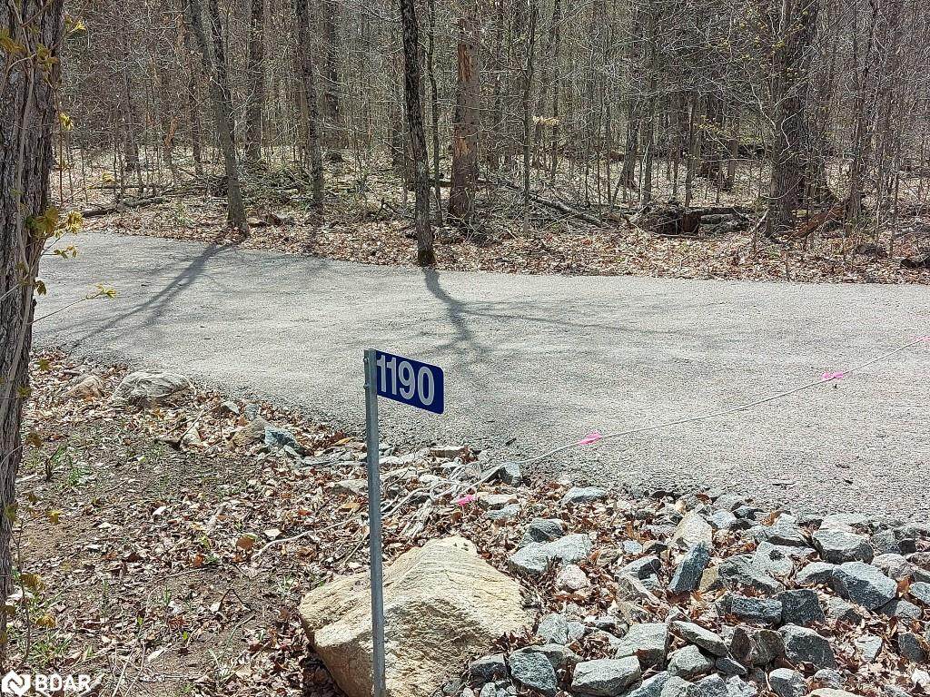 1190 Bird Lake Road - Photo 1