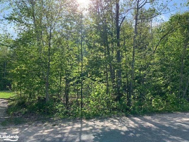 LT 17 Champlain Road - Photo 1