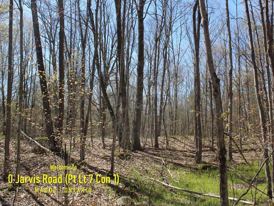 0 Jarvis Road - Photo 1