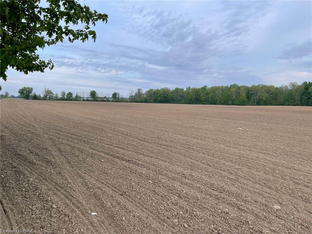 N/A Concession 6 Townsend Road - Photo 1