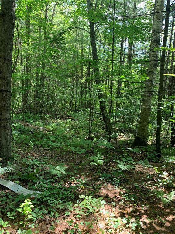 PT 3 County Road 46 - Photo 1
