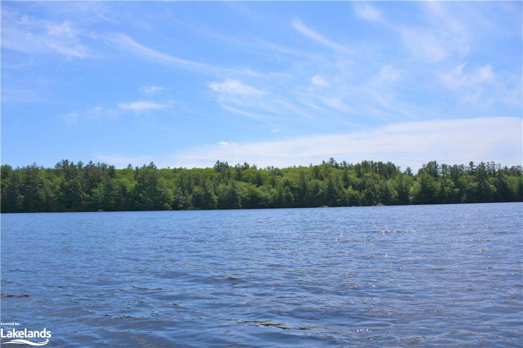3200 Spence Lake - Photo 1