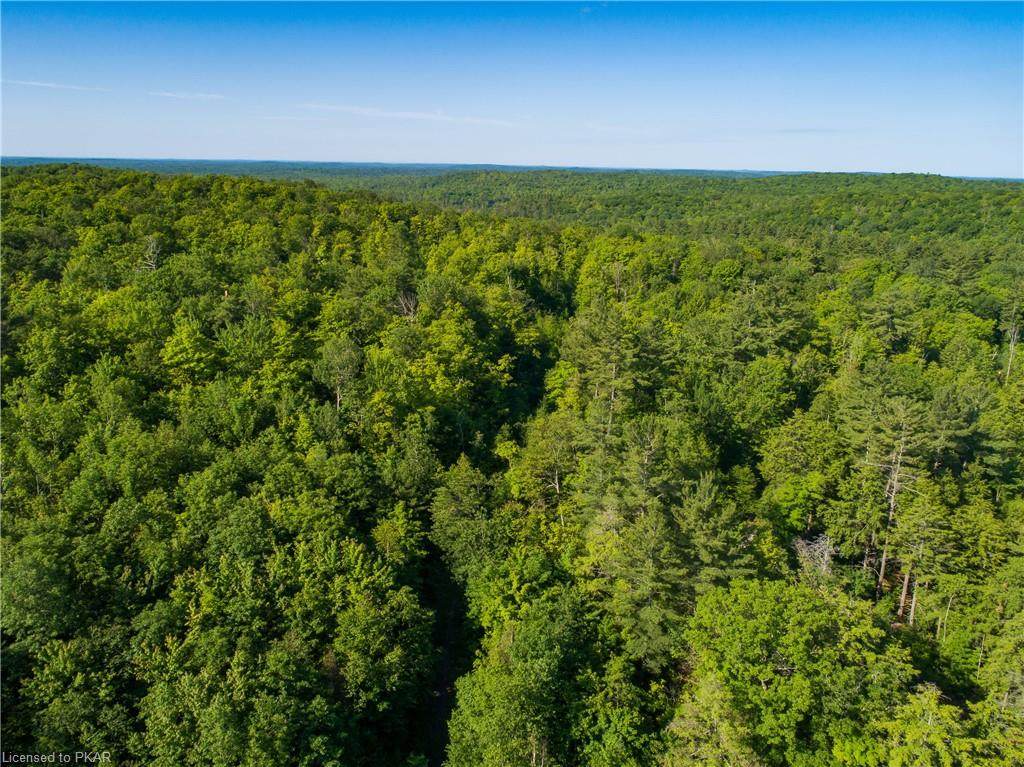 7234 Old Hastings - Lot 49 Road - Photo 1