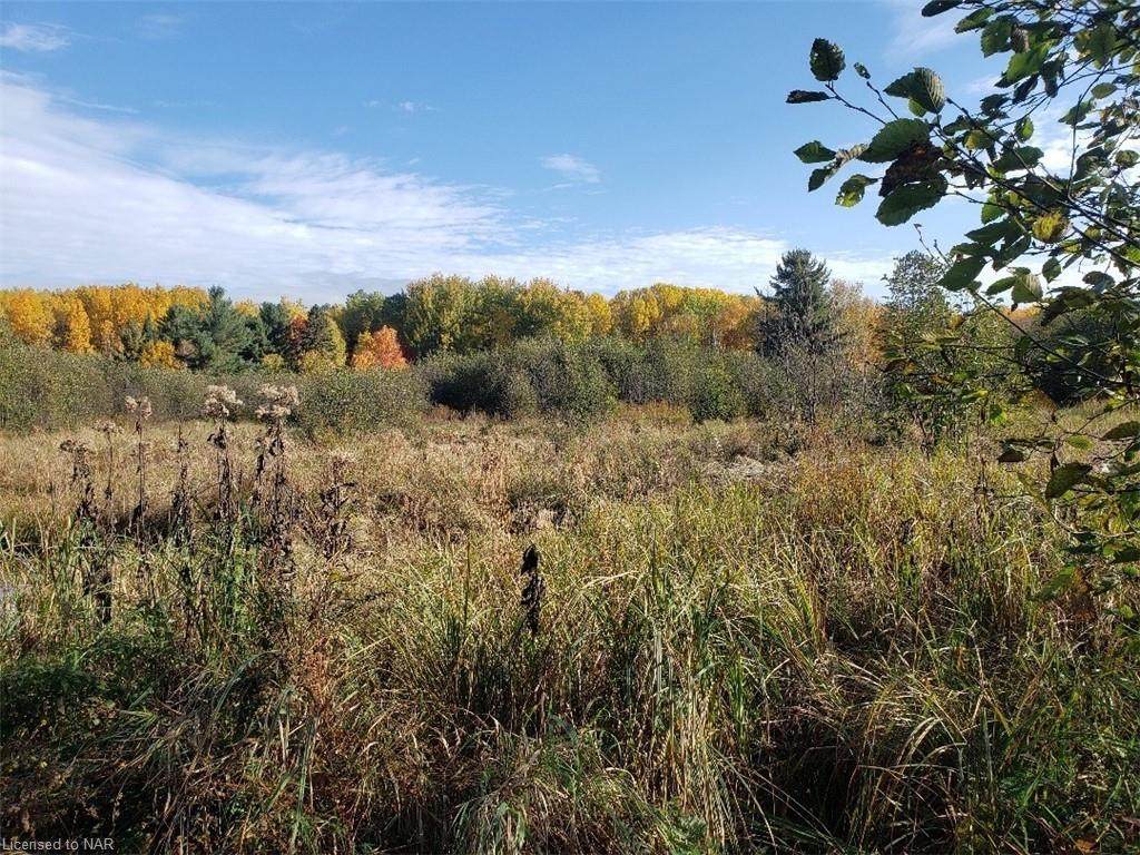 N/A Pine Creek Road - Photo 1