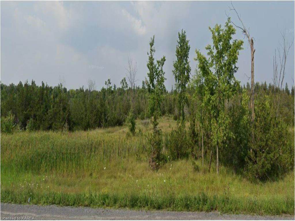 0 Highway 38 - Photo 1
