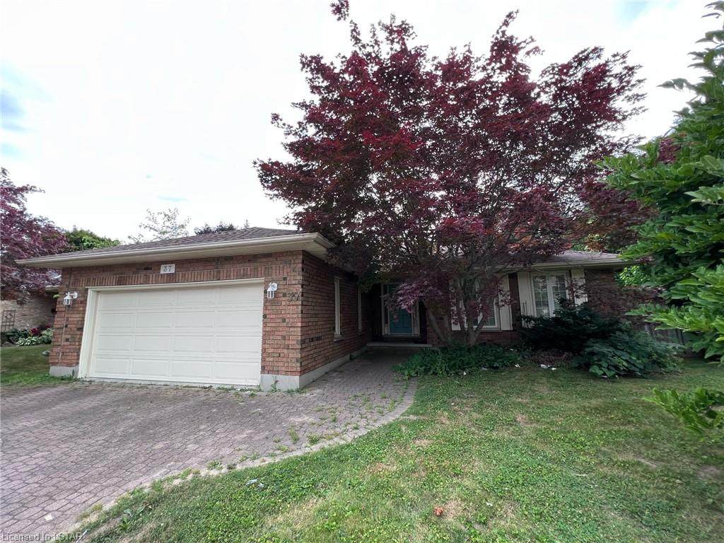 37 Jennifer Road - Photo 1