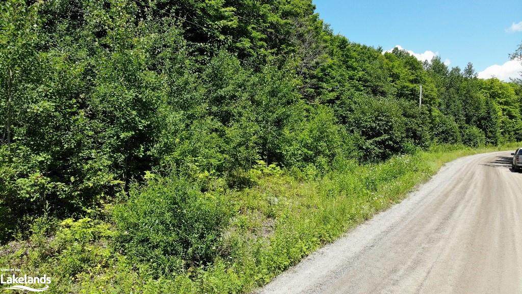 LOT 26 Ross Lake Road - Photo 1
