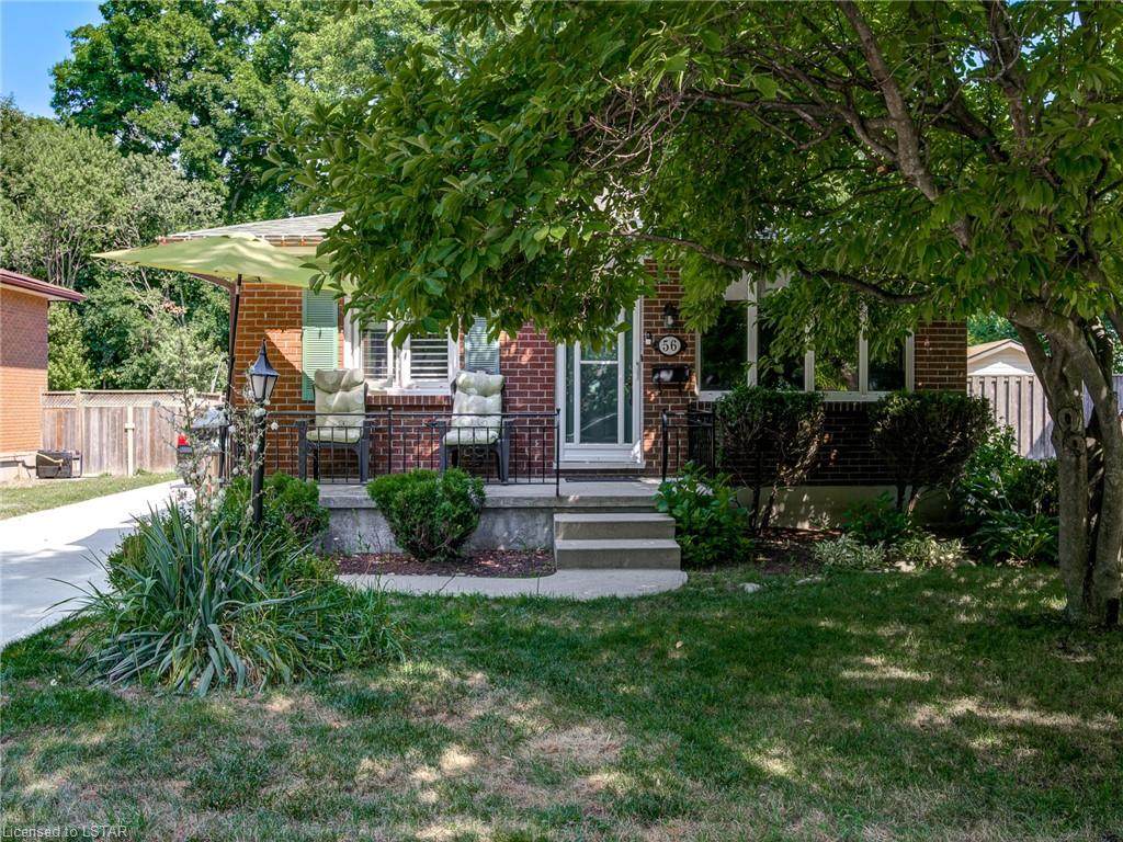 56 Tilipe Road - Photo 1