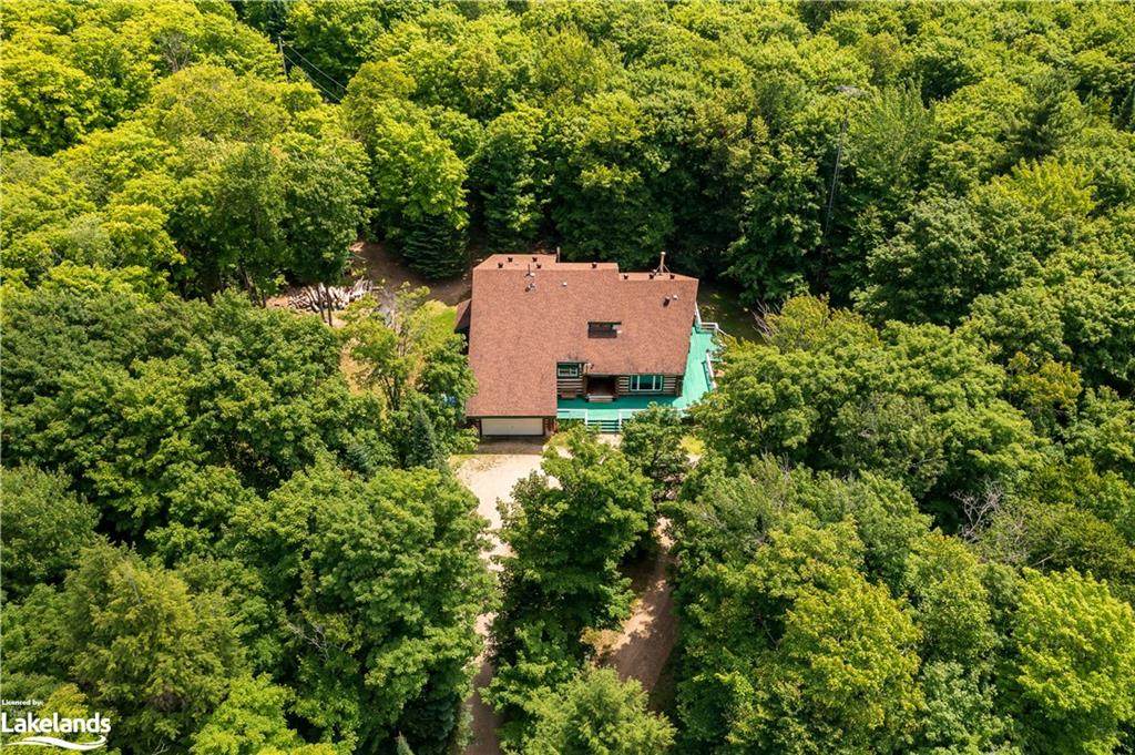 239 Old Government Road - Photo 1