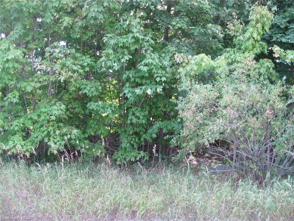 00 County Road 45 - Photo 1