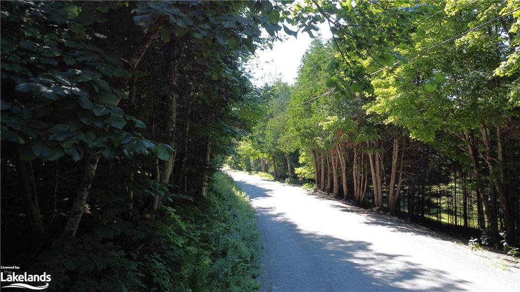 0 Fred Jones Road - Photo 1