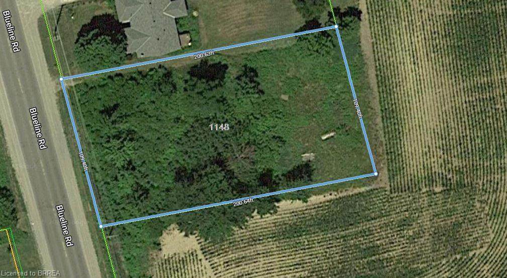 1146 Blueline Road - Photo 1