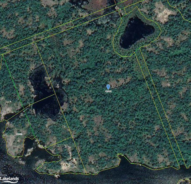 33888 Georgian Bay Shore - Photo 1
