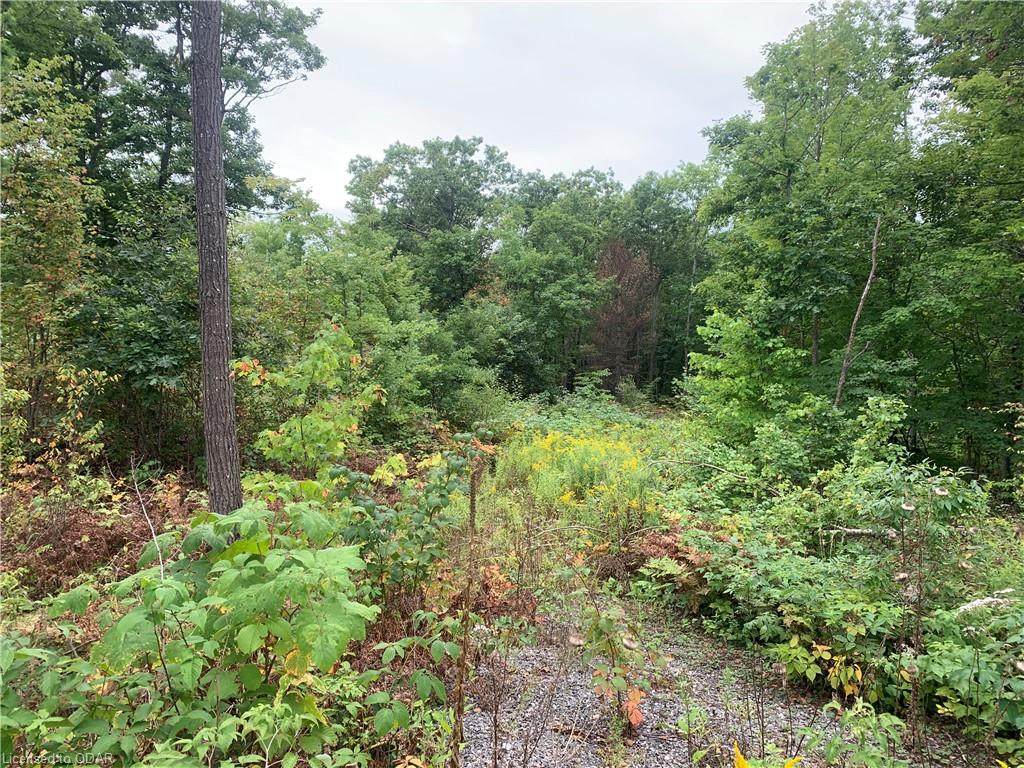 . Highway 7 - Photo 1
