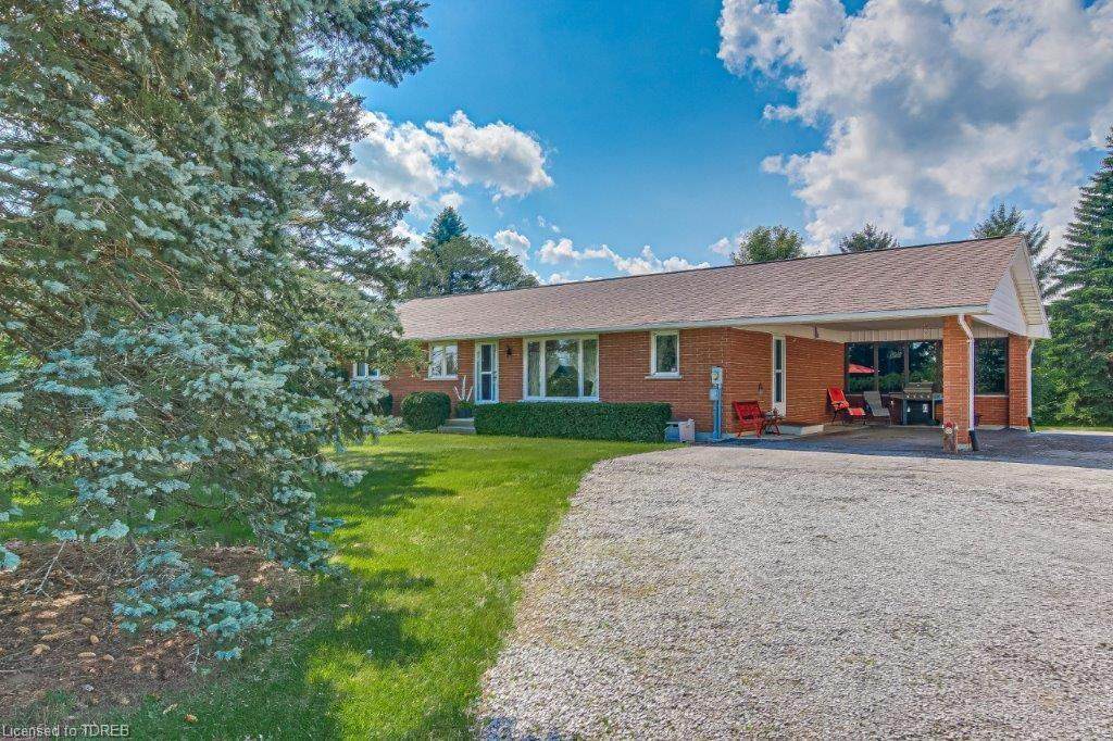 9113 Plank Road - Photo 1