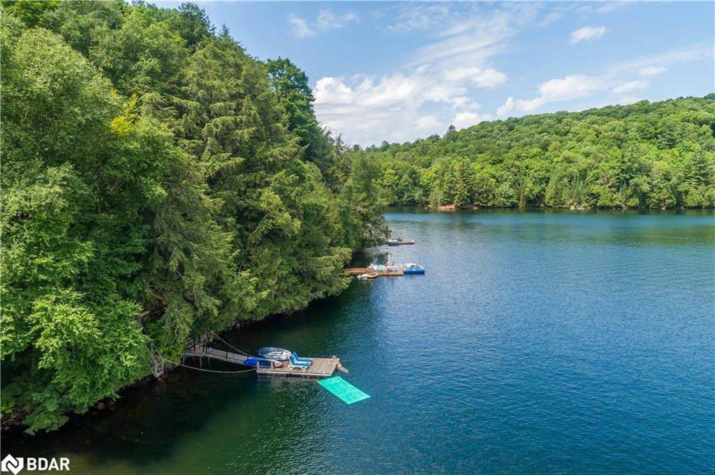 1138 Miskwabi Lake Road - Photo 1