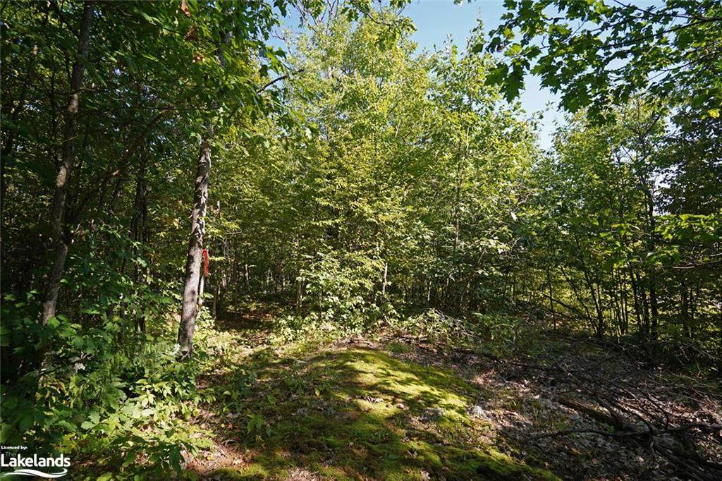 18 Shakell Road - Photo 1