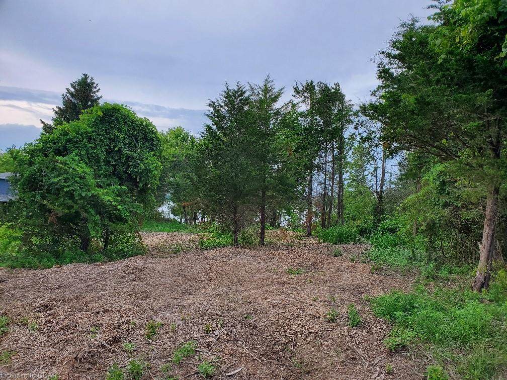 LOT 12 Shenendoah Road - Photo 1