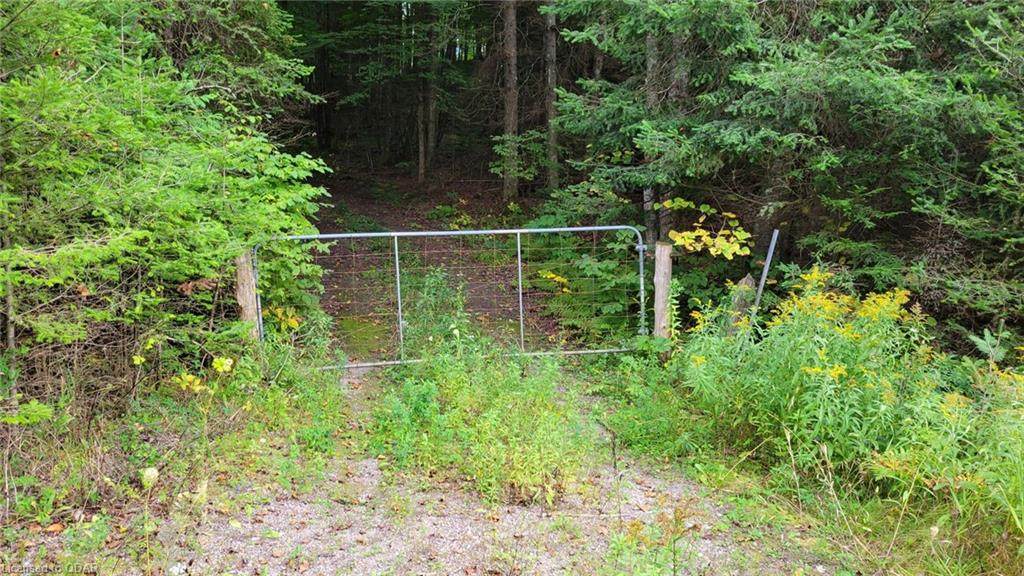 1525 Queensborough Road - Photo 1