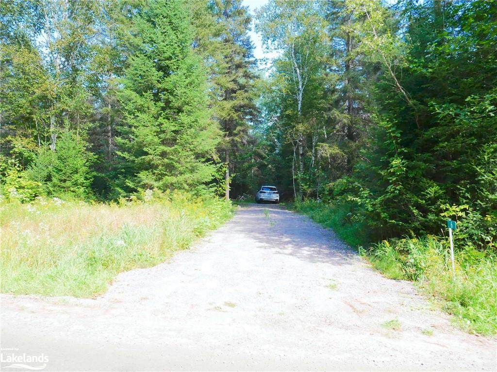 6 East Townline Road - Photo 1