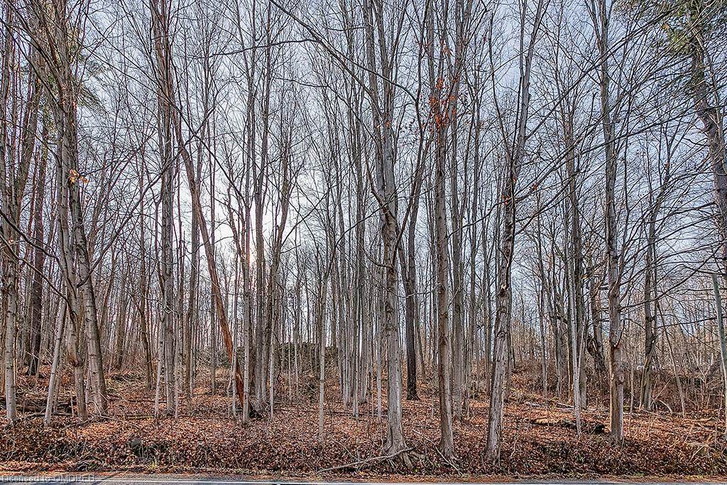 5650 Cedar Springs Road - Photo 1