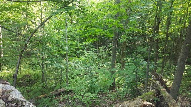 64 Greenwood Drive - Photo 1