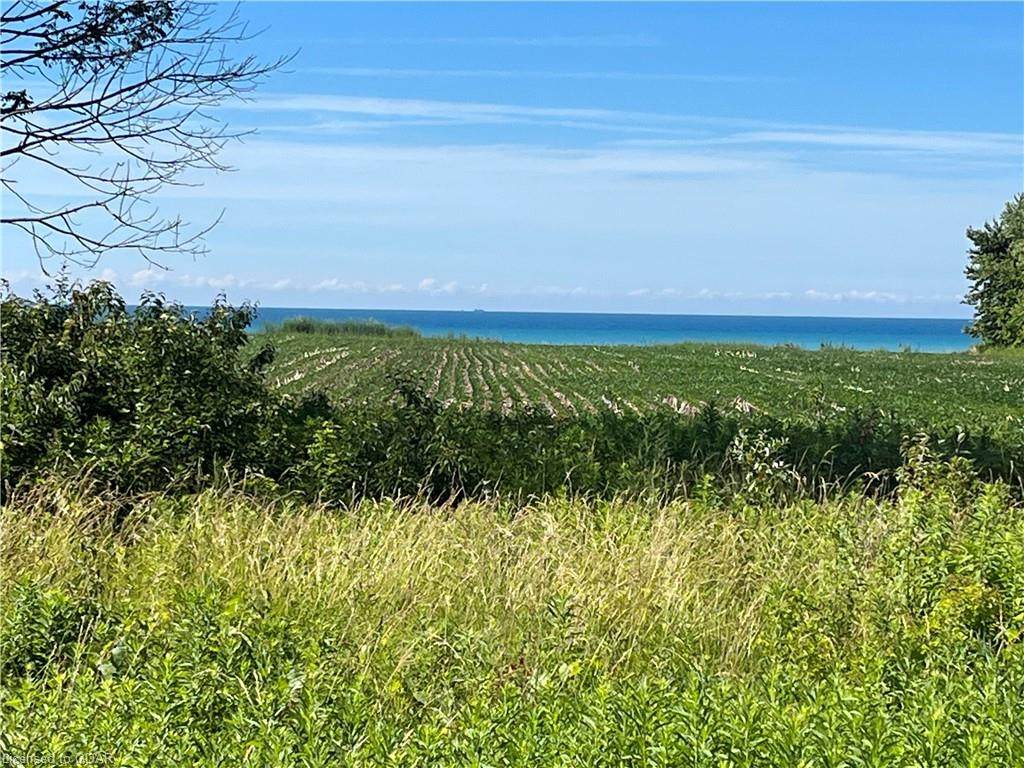 1656 Lakeshore Road - Photo 1