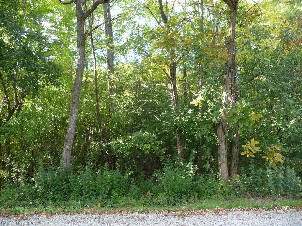 0 Selton Road - Photo 1